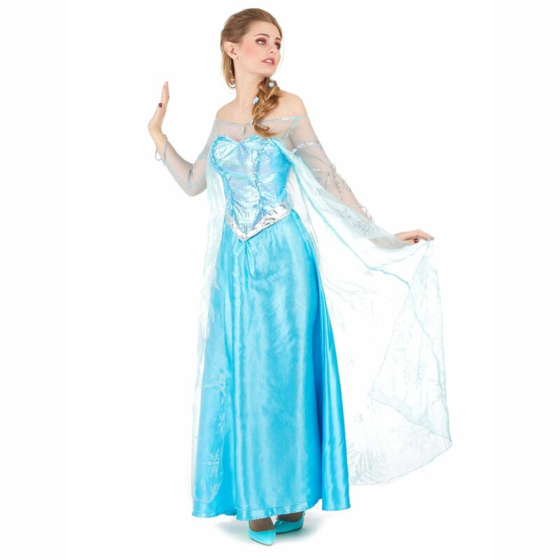 Costume Adulte Reine Des Neiges Deguisement Princesse Glacee Feerique