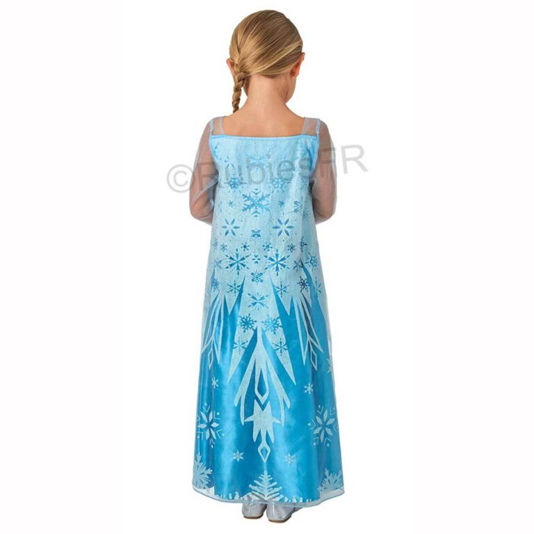 Deguisement Princesse Reine Des Neiges Enfant Panoplie Complete Pour Fetes Et Carnaval